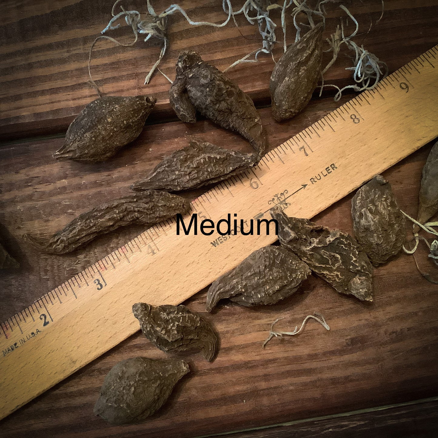 High John the Conqueror Root, Whole Root ~ 3 Pack
