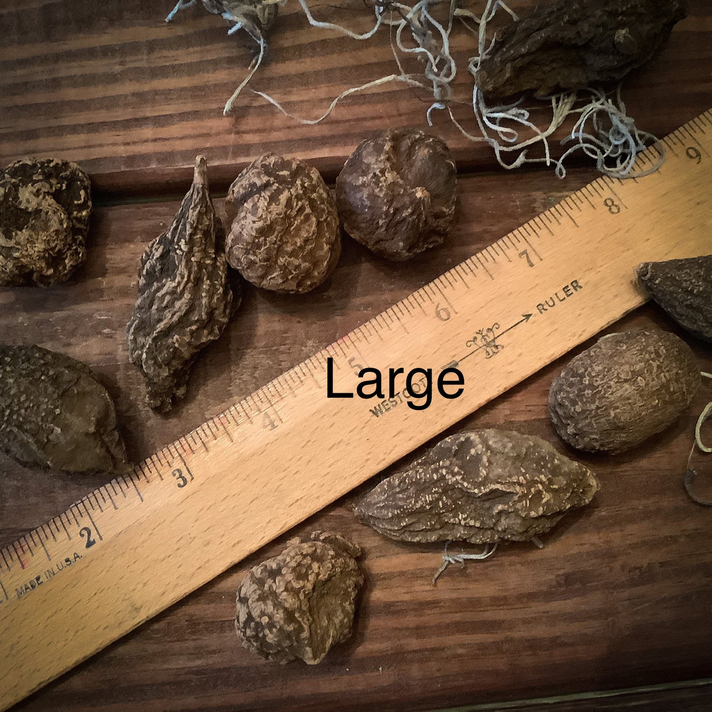 High John the Conqueror Root, Whole Root ~ 3 Pack