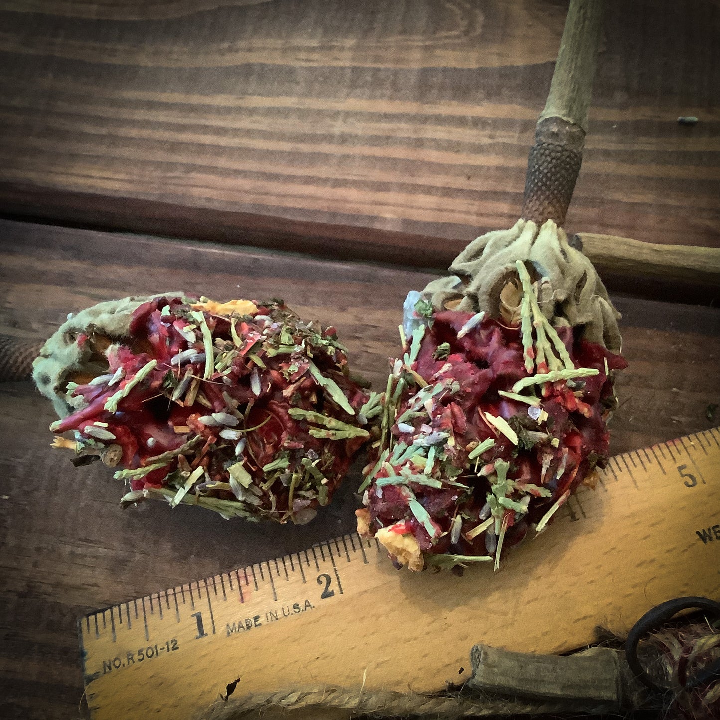 Magnolia Cone, Loaded Whole Cone ~ 1 Pack