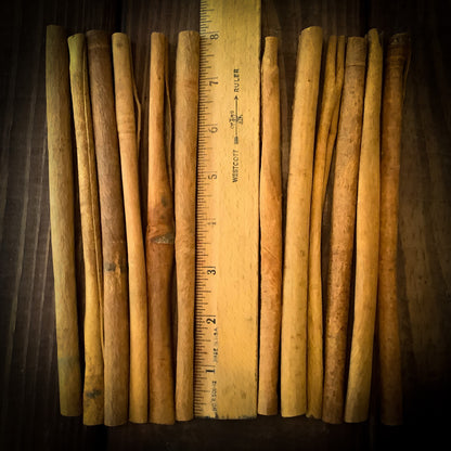Cinnamon Stick Bundle ~ Twelve 8-inch-long sticks