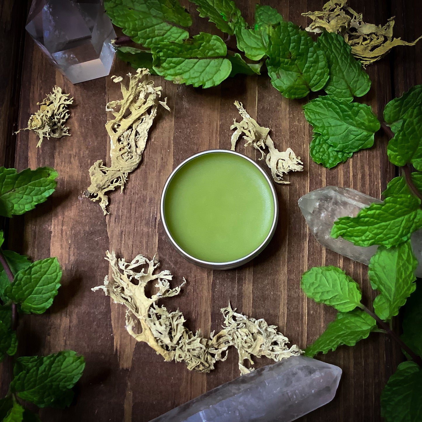 Green Witch ~ Oakmoss and Wild Mint Lip Salve ~1/2 oz