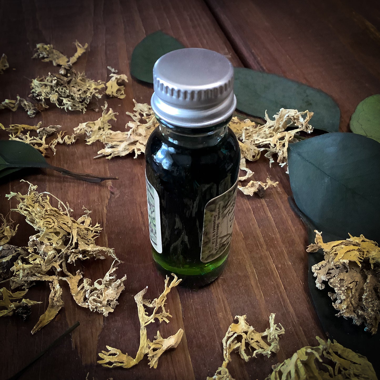 French Oakmoss ~ Natural Perfume Oil