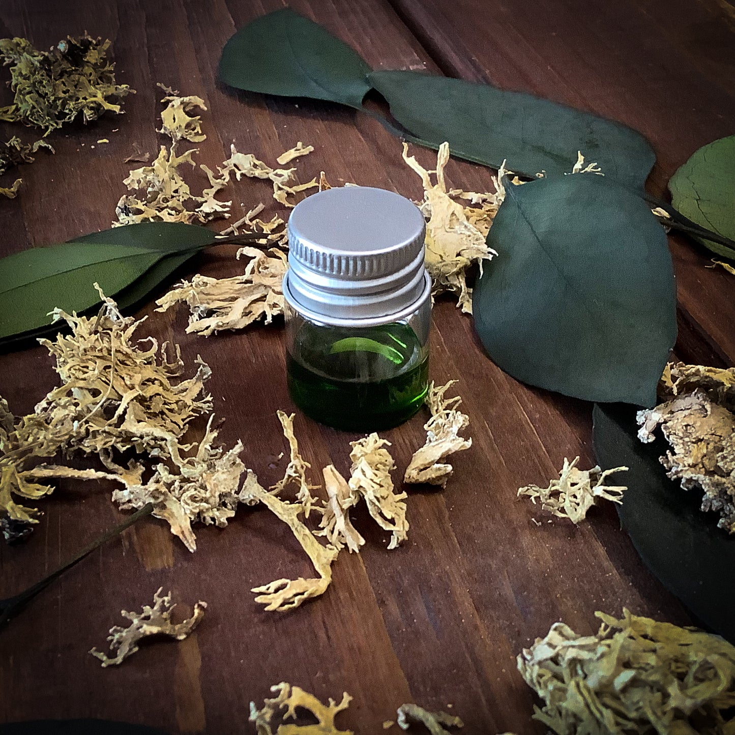 French Oakmoss ~ Natural Perfume Oil Sample Size