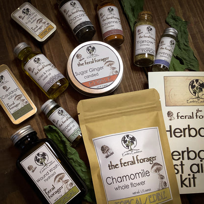 Herbal Aid ~ The Feral Forager Herbal First Aid Kit