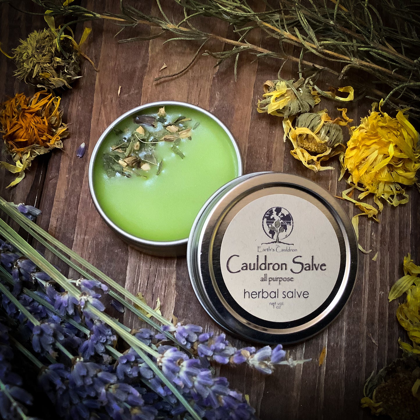 Cauldron Salve ~ Natural Herbal All Purpose Salve