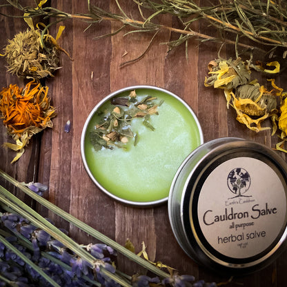 Cauldron Salve ~ Natural Herbal All Purpose Salve