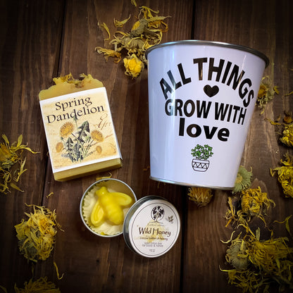Dandelion Honey Spring Gift Set