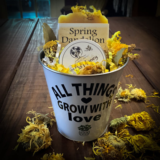 Dandelion Honey Spring Gift Set