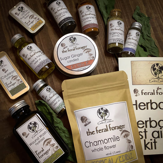 Herbal Aid ~ The Feral Forager Herbal First Aid Kit