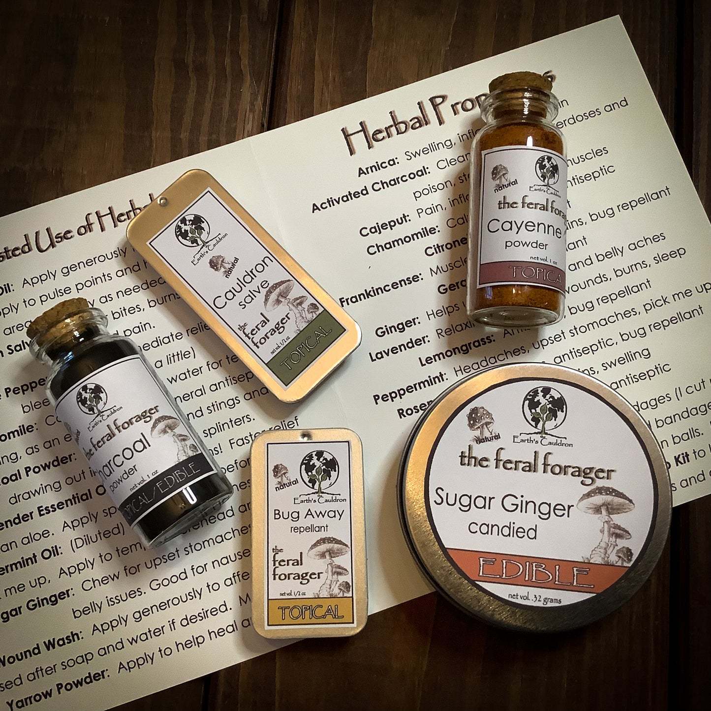 Herbal Aid ~ The Feral Forager Herbal First Aid Kit