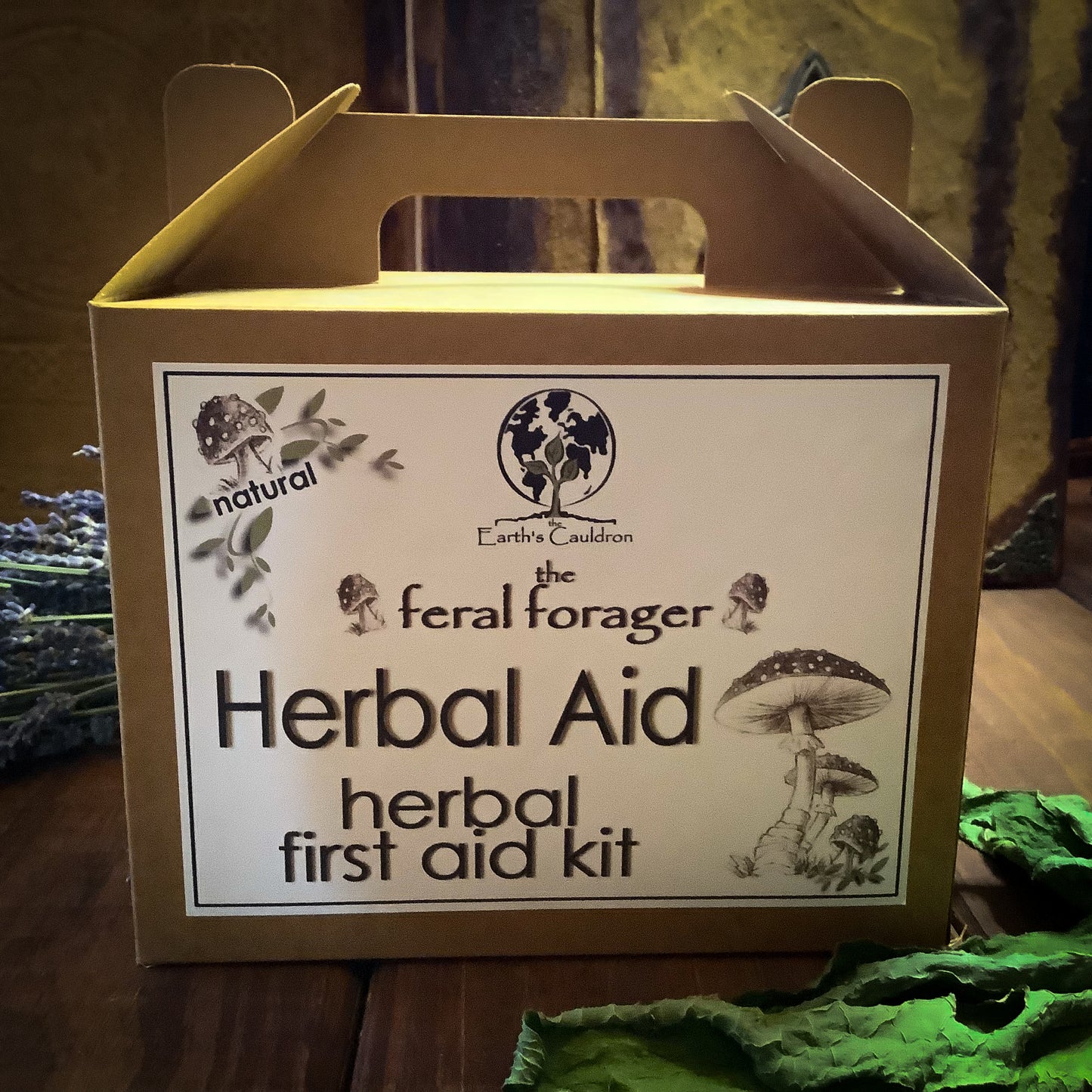 Herbal Aid ~ The Feral Forager Herbal First Aid Kit