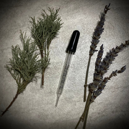 Wild Mushroom ~ Repair + Renew Facial Serum
